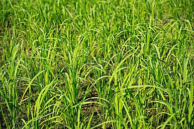 《瑞奇与叮当：分离》配置需求公开 4K＆60帧需4080