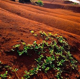 Bungie再胜一场 《命运2》作弊站点需赔偿6万多美元