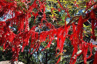 3DM速报：暴雪起诉War3开源Mod引擎，怪猎Steam周销霸榜！